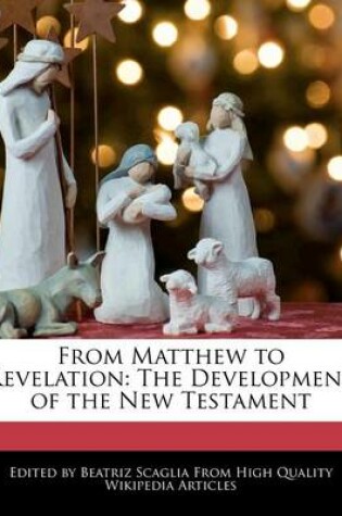 Cover of From Matthew to Revelation