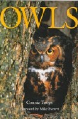 Cover of The Enchanted Owl