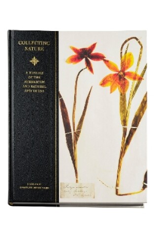 Cover of Collecting Nature