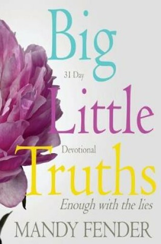 Cover of Big Little Truths