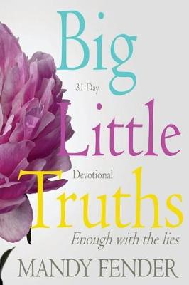 Book cover for Big Little Truths