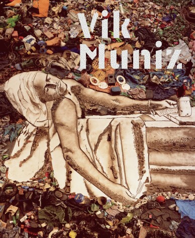 Book cover for Vik Muniz