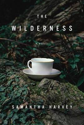 Book cover for Wilderness, The: A Novel