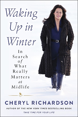 Book cover for Waking Up in Winter