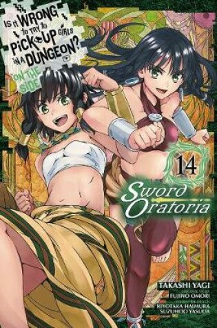 Cover of Is It Wrong to Try to Pick Up Girls in a Dungeon? On the Side: Sword Oratoria, Vol. 14