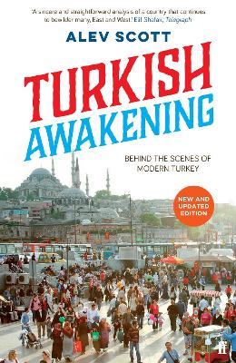 Book cover for Turkish Awakening