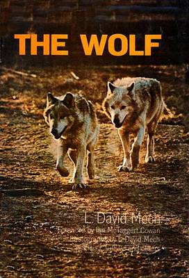 Book cover for Wolf