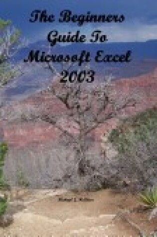 Cover of The Beginners Guide to Microsoft Excel 2003