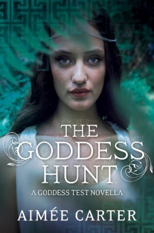 Cover of The Goddess Hunt
