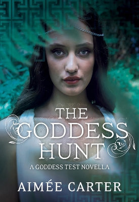 Book cover for The Goddess Hunt