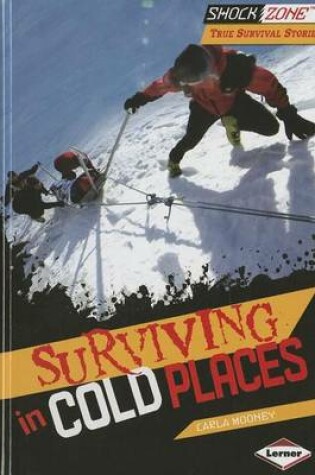 Cover of Surviving in Cold Places