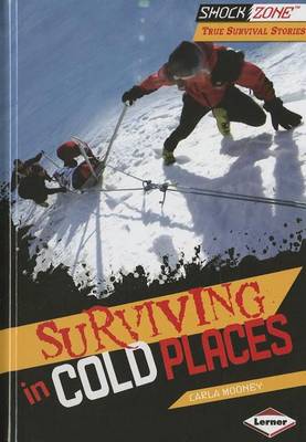 Book cover for Surviving in Cold Places