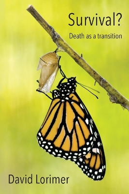 Book cover for Survival? Death as a Transition