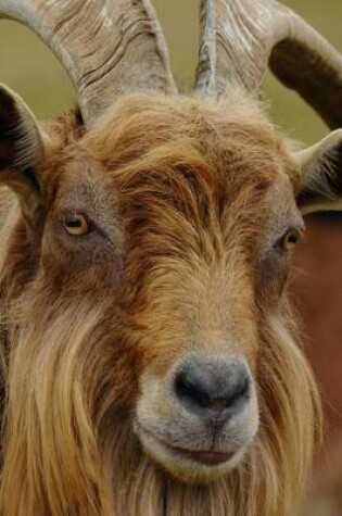 Cover of Profile of a Billy Goat Not Impressed