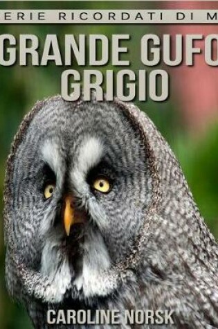 Cover of Grande Gufo Grigio