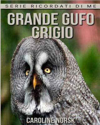 Book cover for Grande Gufo Grigio