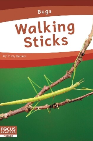 Cover of Bugs: Walking Sticks