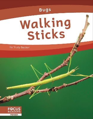 Book cover for Bugs: Walking Sticks
