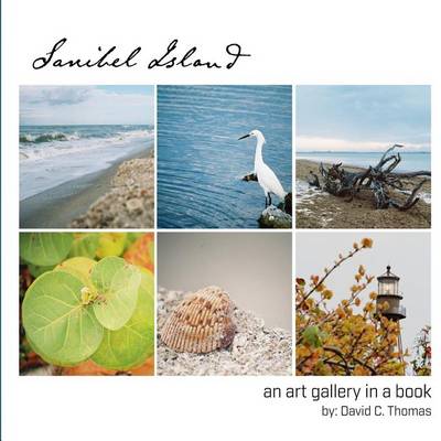 Book cover for Sanibel Island