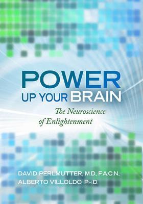 Book cover for Power Up Your Brain