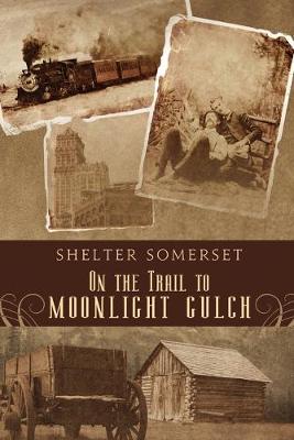 Book cover for On the Trail to Moonlight Gulch