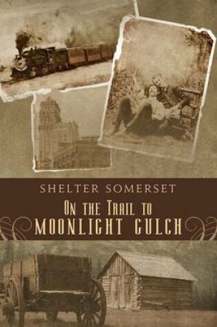 Cover of On the Trail to Moonlight Gulch