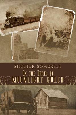 Book cover for On the Trail to Moonlight Gulch