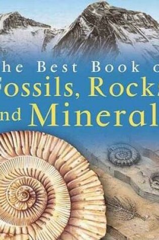 Cover of My Best Book of Rocks and Fossils
