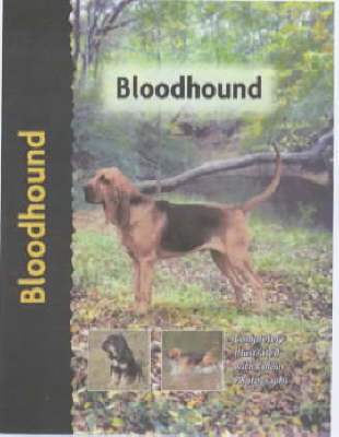 Cover of Bloodhound