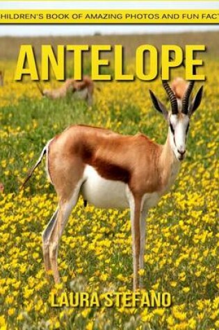 Cover of Antelope