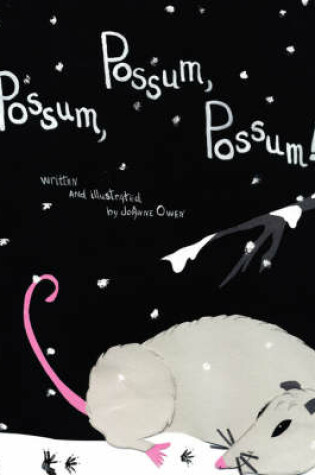 Cover of Possum, Possum, Possum!