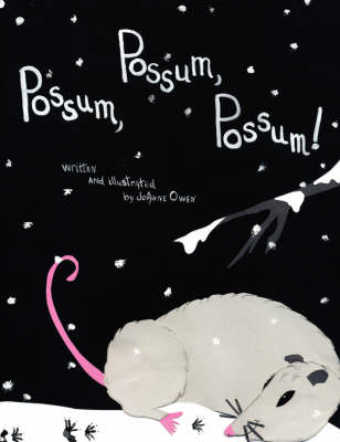 Book cover for Possum, Possum, Possum!