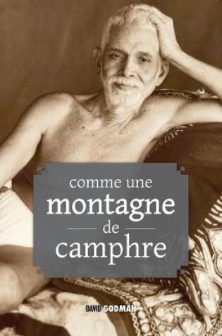 Cover of Comme une montagne de camphre