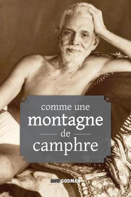 Book cover for Comme une montagne de camphre