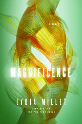 Cover of Magnificence