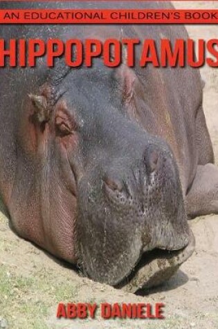Cover of Hippopotamus! An Educational Children's Book about Hippopotamus with Fun Facts & Photos