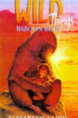 Cover of Baboon Rock