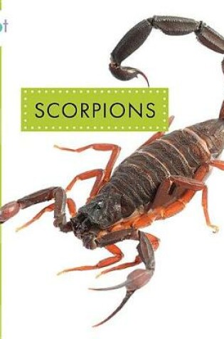 Cover of Scorpions