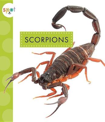 Cover of Scorpions