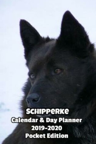 Cover of Schipperke Calendar & Day Planner 2019-2020 Pocket Edition