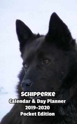 Book cover for Schipperke Calendar & Day Planner 2019-2020 Pocket Edition