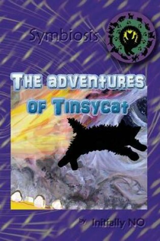 Cover of The adventures of Tinsycat