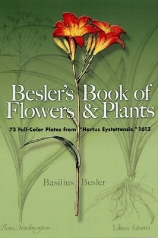 Cover of Besler'S Book of Flowers and Plants