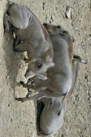 Cover of Warthogs in Senegal, Africa