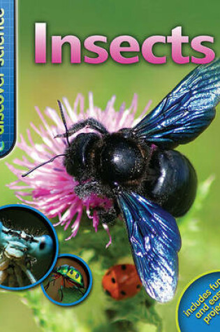 Cover of US Discover Science: Insects