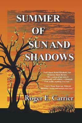 Book cover for Summer of Sun and Shadows