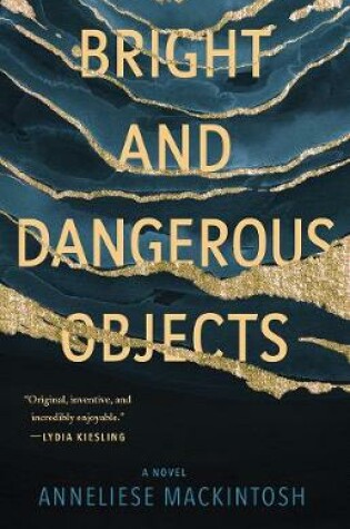 Cover of Bright and Dangerous Objects