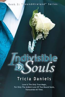 Book cover for Indivisible Souls