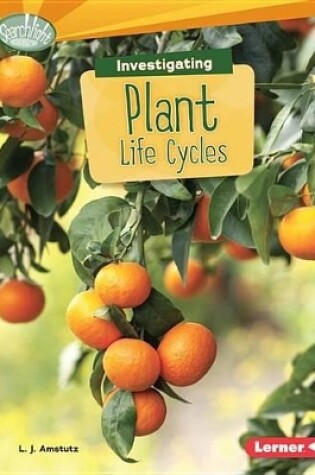 Cover of Investigating Plant Life Cycles