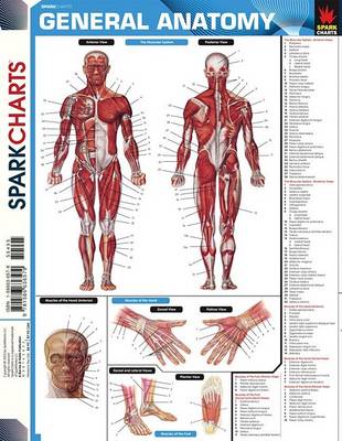 Book cover for General Anatomy (Sparkcharts)